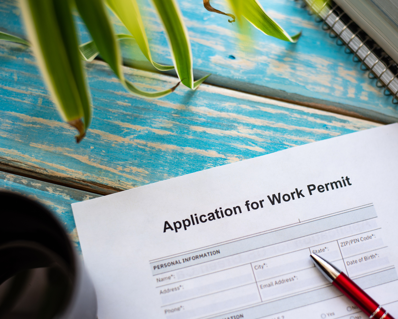 The PGWP overhaul: Why the “study anything” pathway to Canadian work permits is officially dead